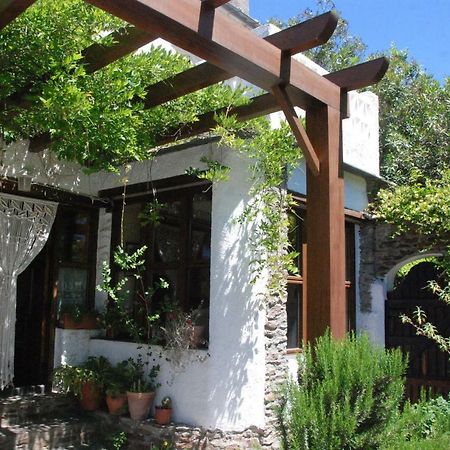 Affittacamere Casa Africa Mecina Fondales Esterno foto